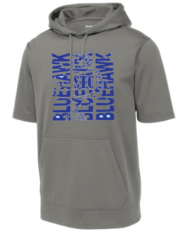 Bluehawk Face Design