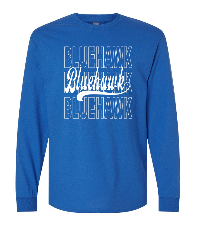 3 Bluehawk Design
