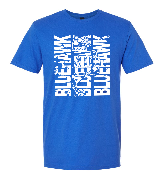 Bluehawk Face Design