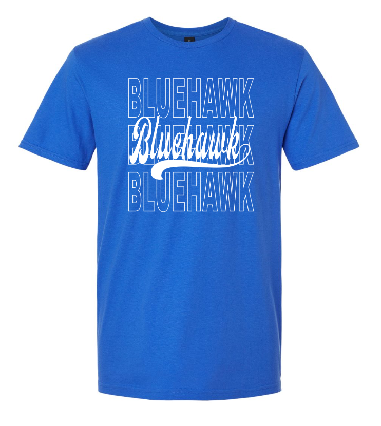 3 Bluehawk Design