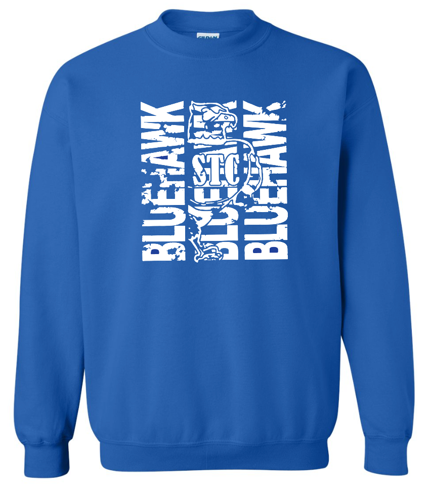 Bluehawk Face Design