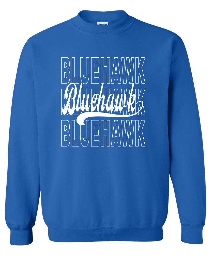 3 Bluehawk Design