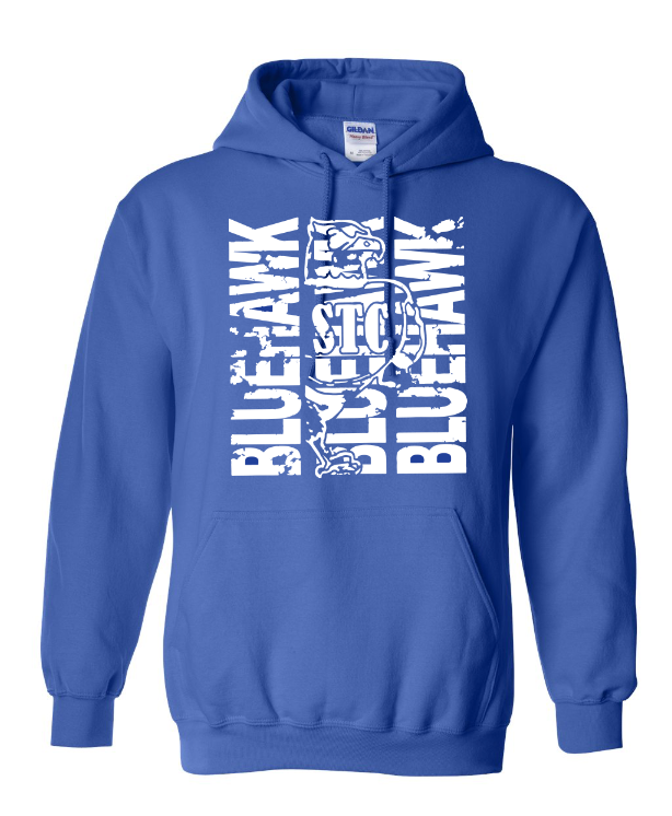 Bluehawk Face Design
