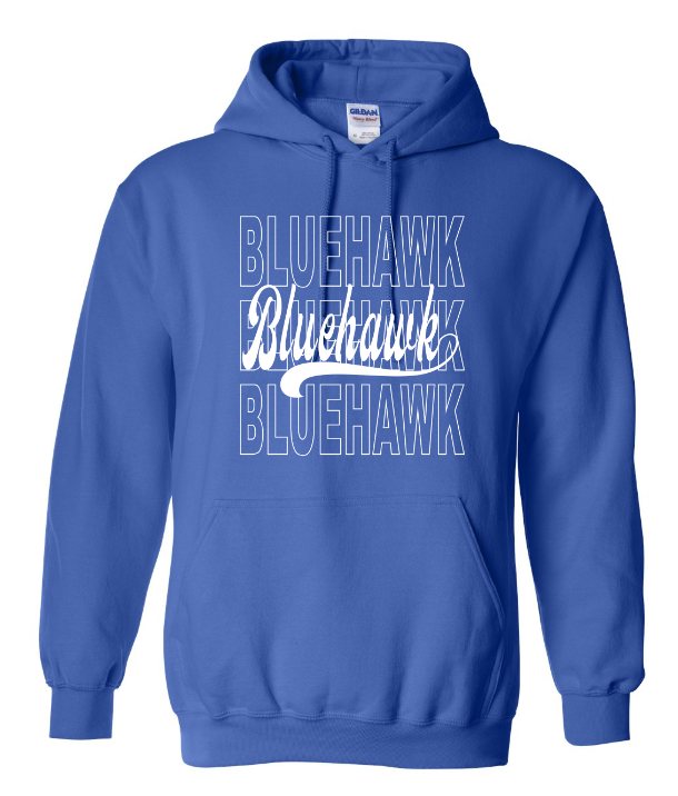 3 Bluehawk Design