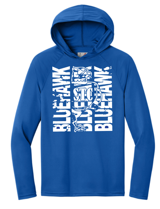 Bluehawk Face Design