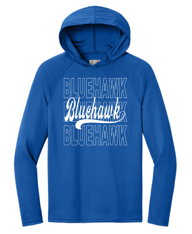 3 Bluehawk Design