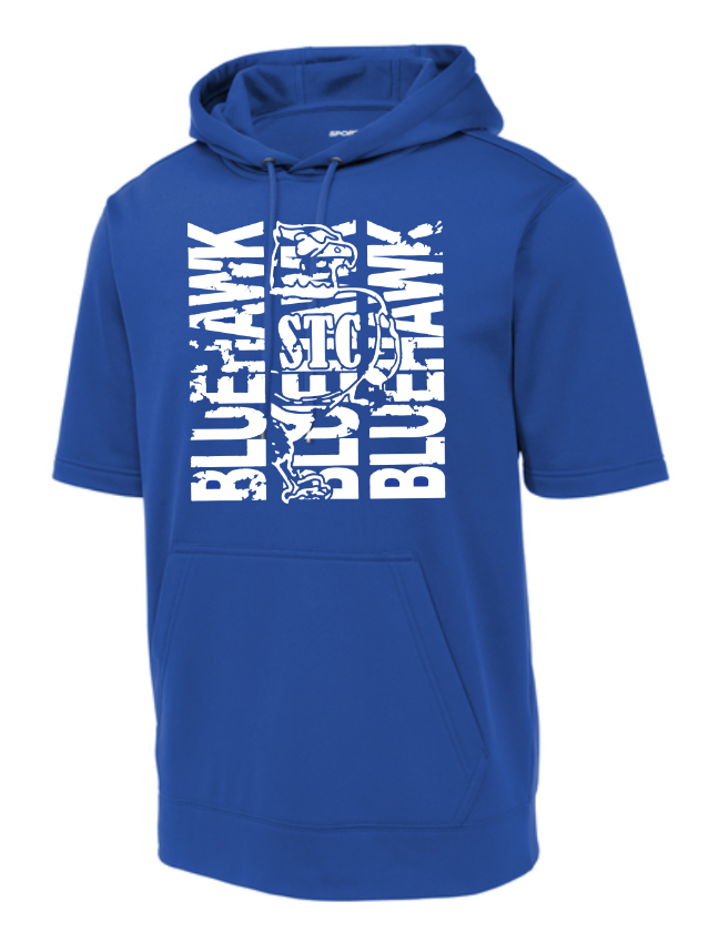 Bluehawk Face Design