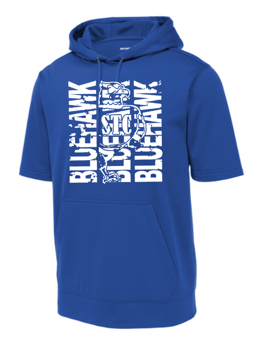 Bluehawk Face Design