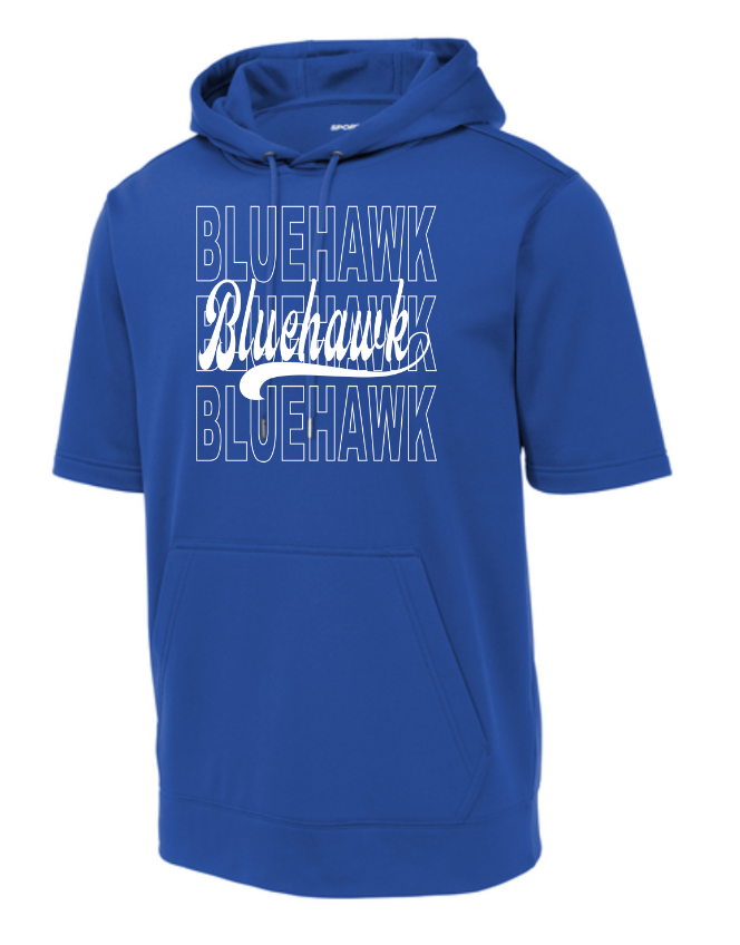 3 Bluehawk Design