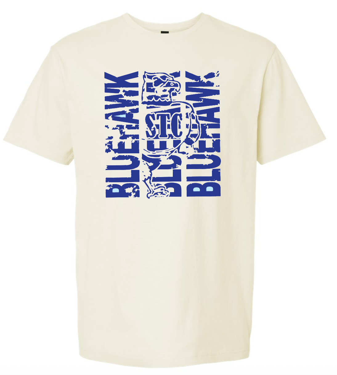 Bluehawk Face Design