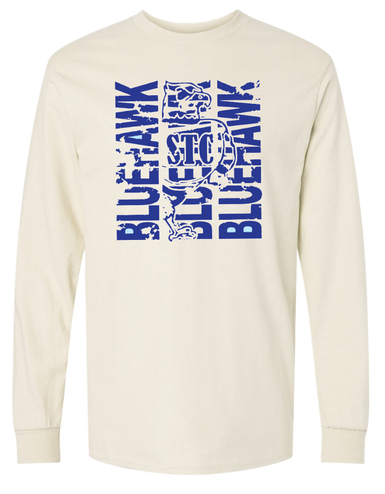 Bluehawk Face Design