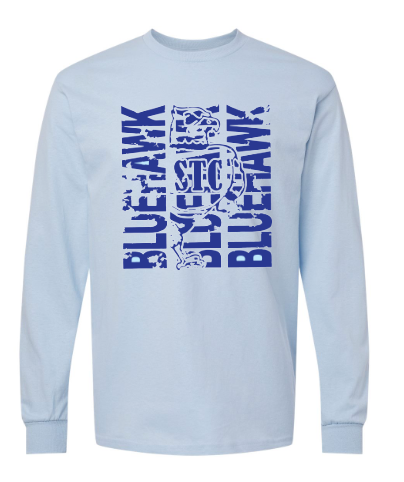 Bluehawk Face Design