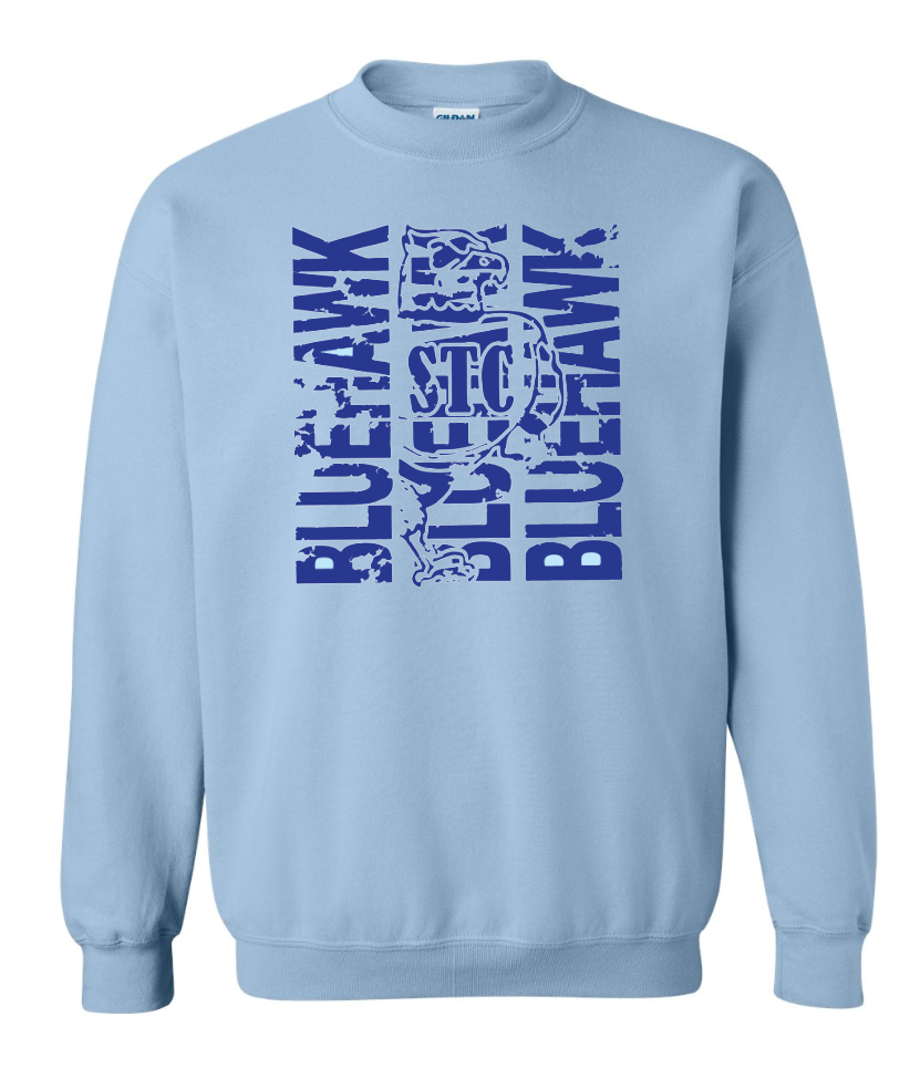 Bluehawk Face Design