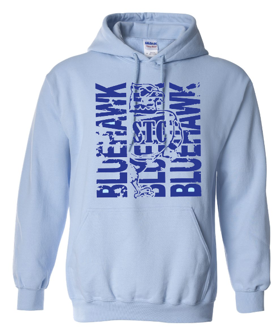 Bluehawk Face Design
