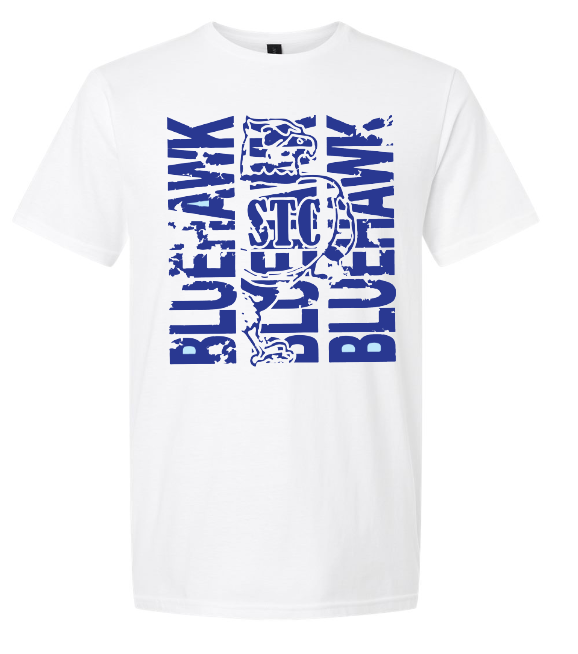 Bluehawk Face Design