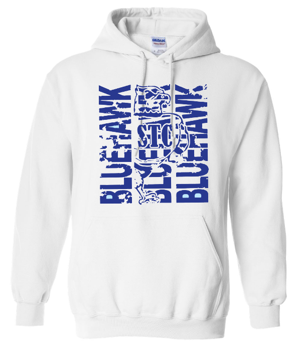 Bluehawk Face Design