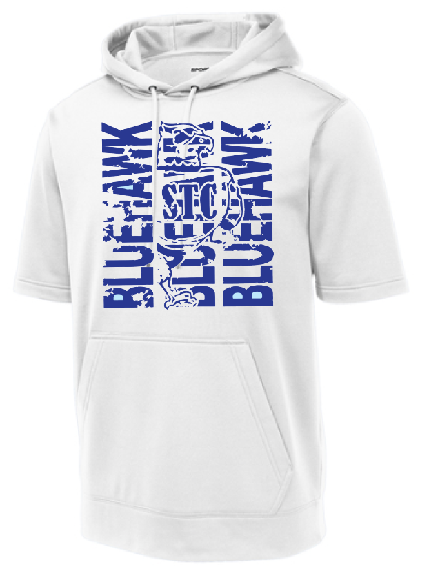Bluehawk Face Design