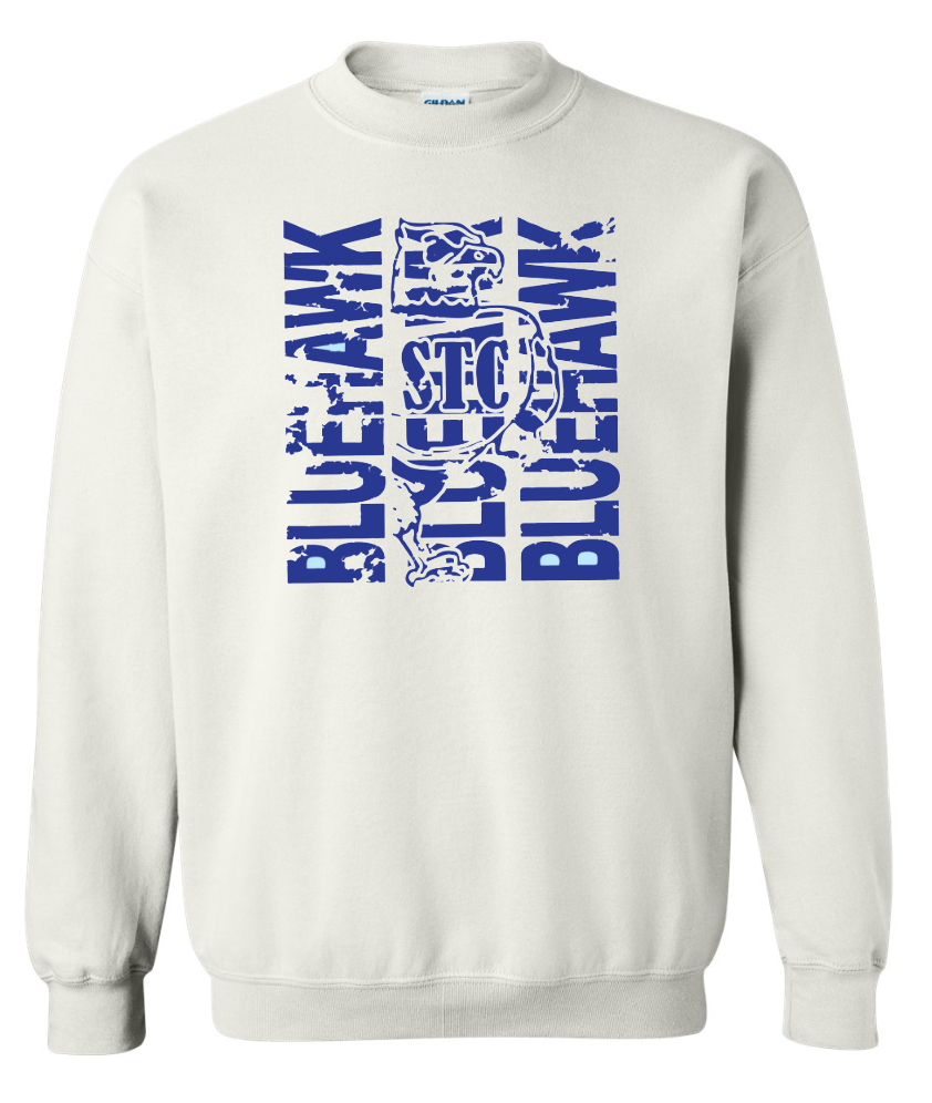 Bluehawk Face Design