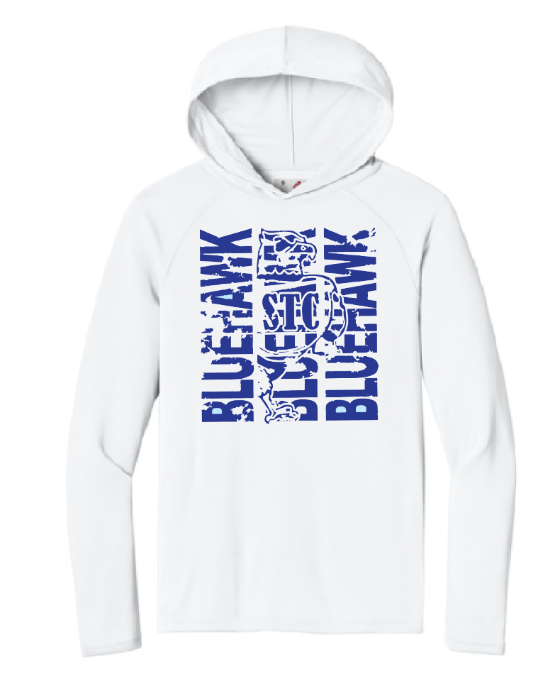Bluehawk Face Design