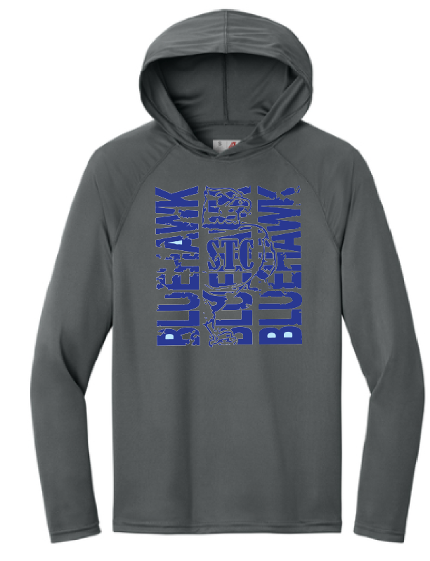Bluehawk Face Design