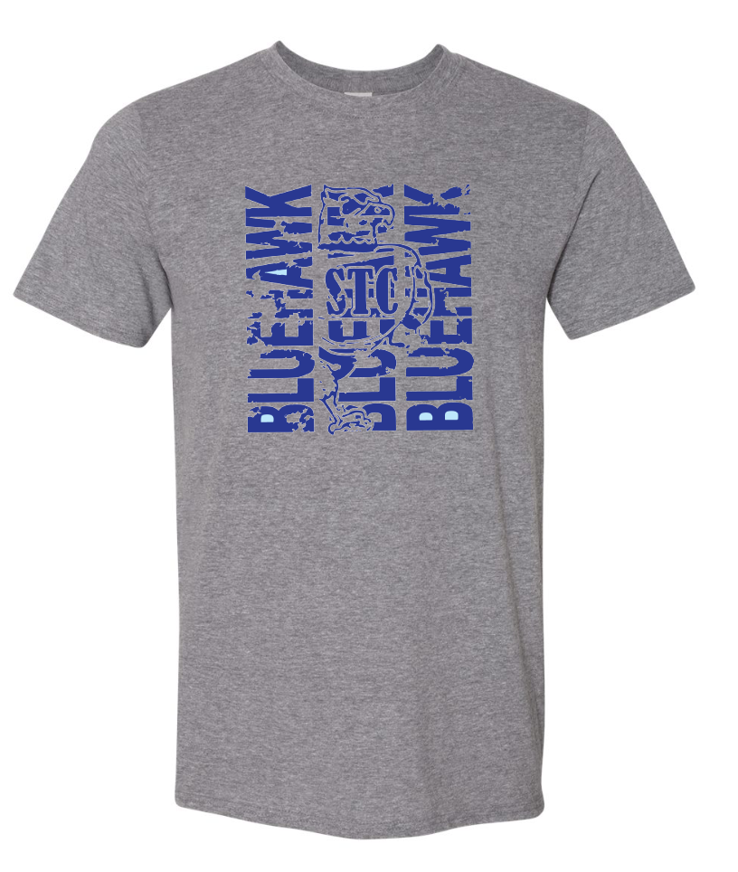 Bluehawk Face Design