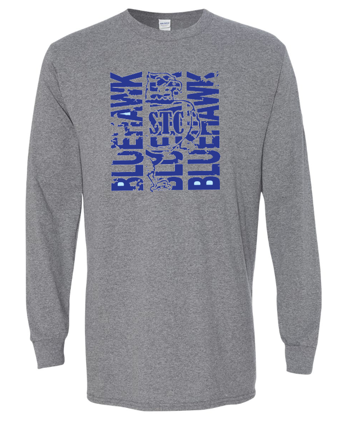 Bluehawk Face Design