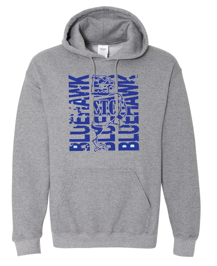 Bluehawk Face Design