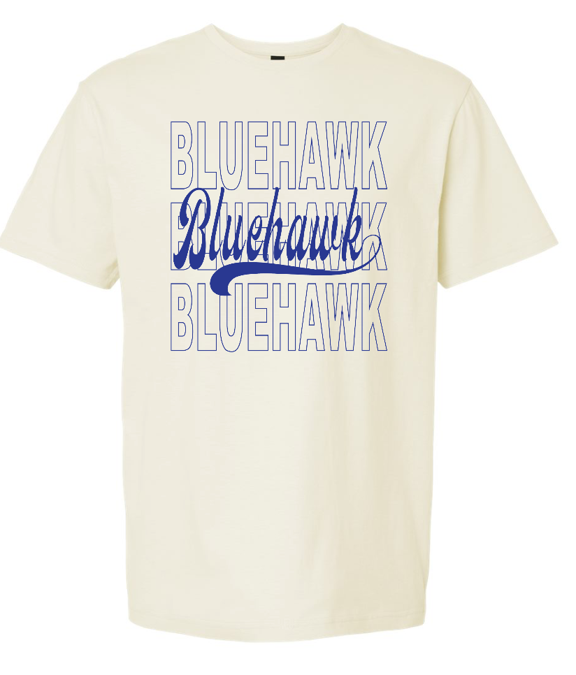 3 Bluehawk Design
