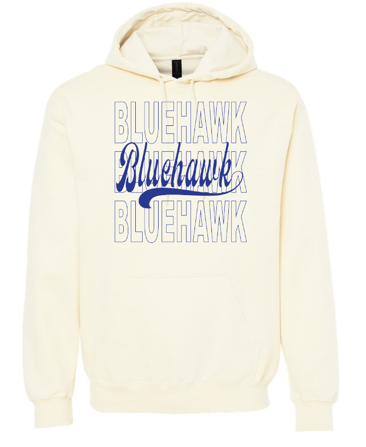 3 Bluehawk Design