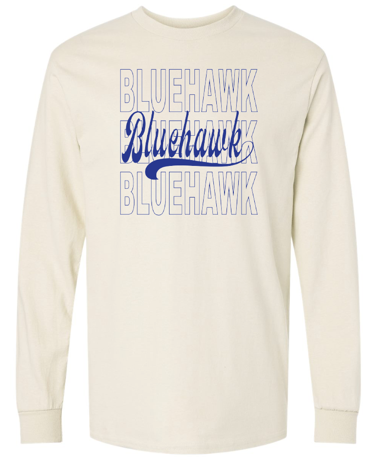3 Bluehawk Design