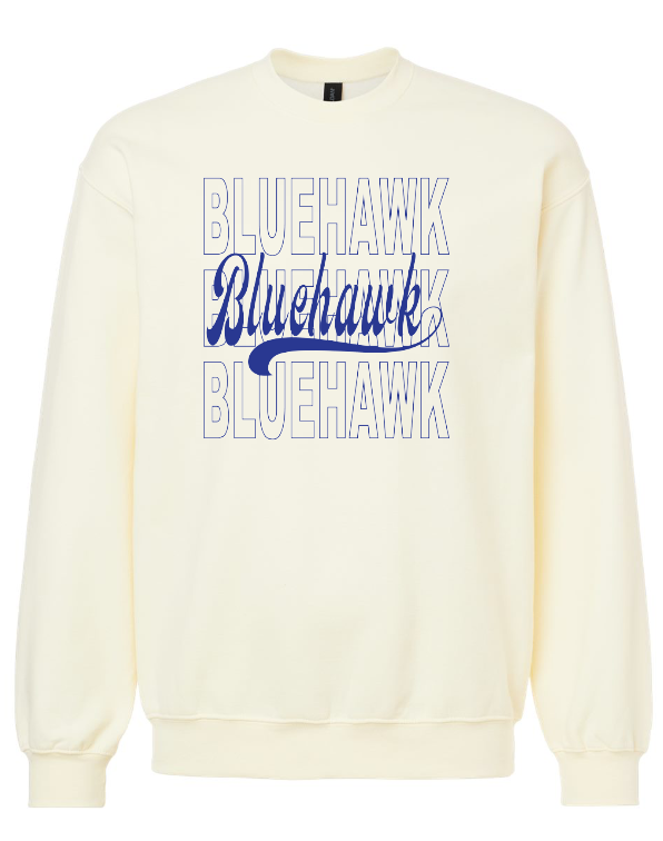 3 Bluehawk Design