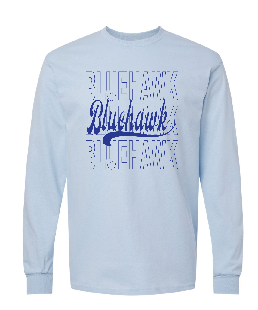 3 Bluehawk Design