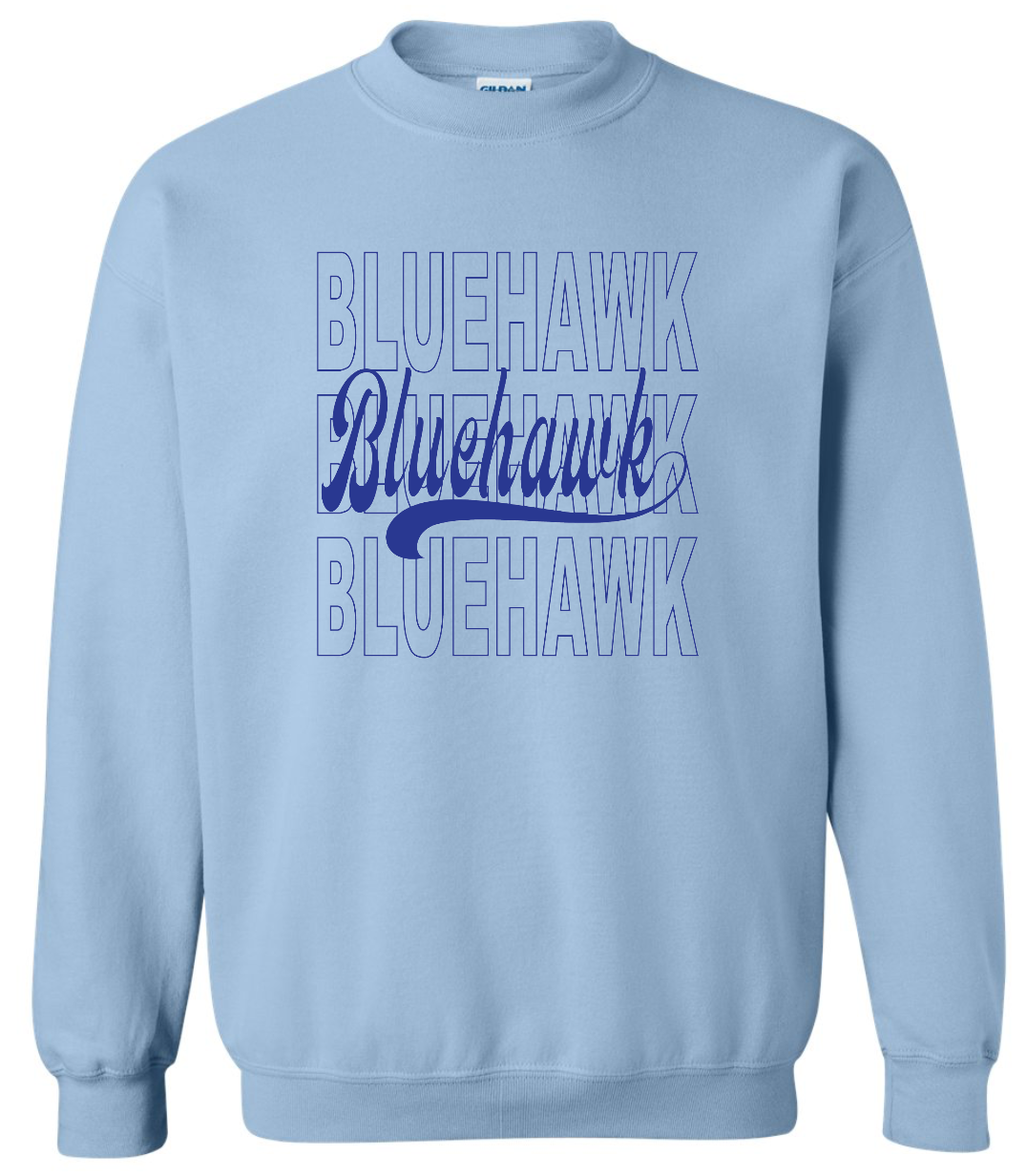 3 Bluehawk Design