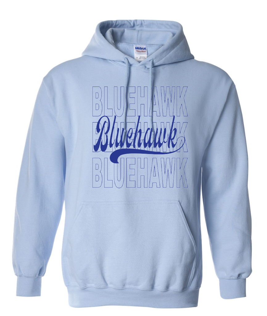 3 Bluehawk Design
