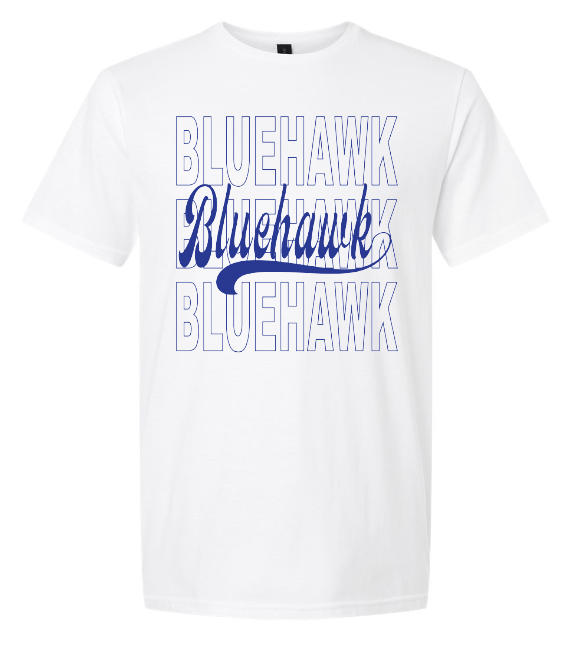 3 Bluehawk Design