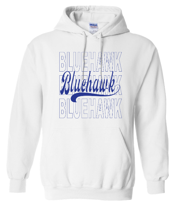 3 Bluehawk Design