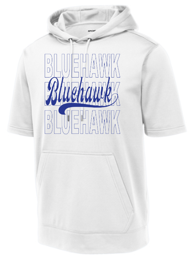 3 Bluehawk Design