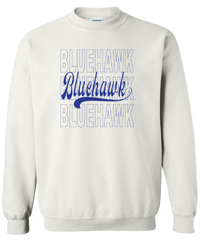 3 Bluehawk Design