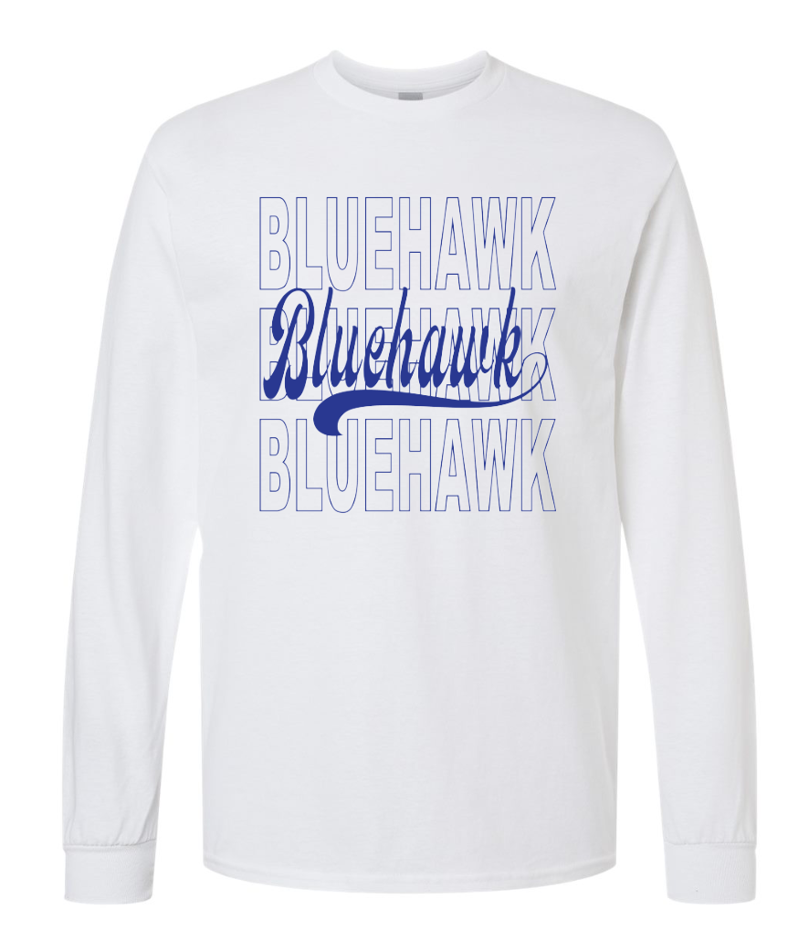 3 Bluehawk Design