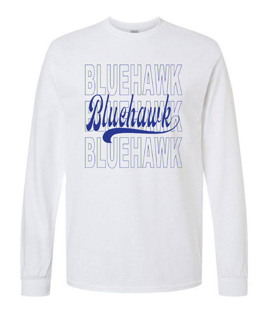 3 Bluehawk Design