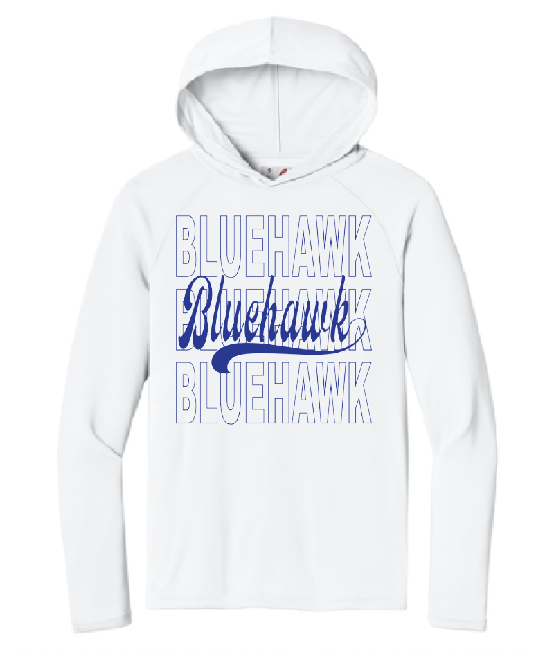 3 Bluehawk Design