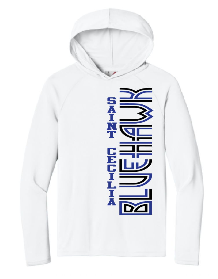 Bluehawk Design