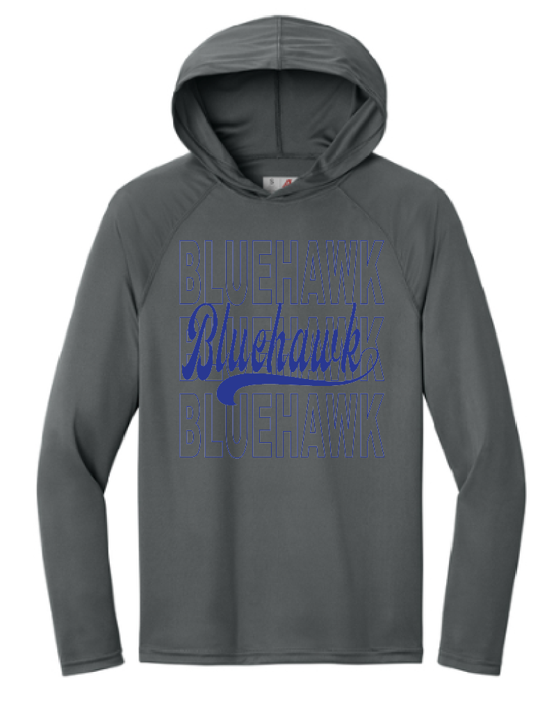 3 Bluehawk Design