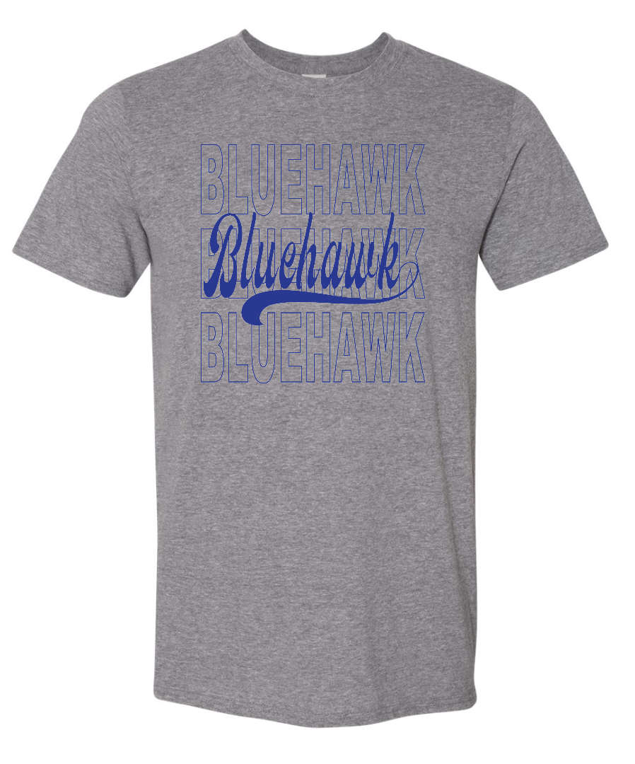 3 Bluehawk Design